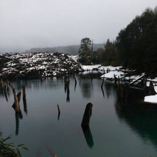 Tour Conguillio & Termas