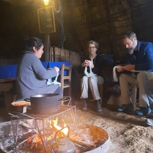 CityTour Temuco Cultural